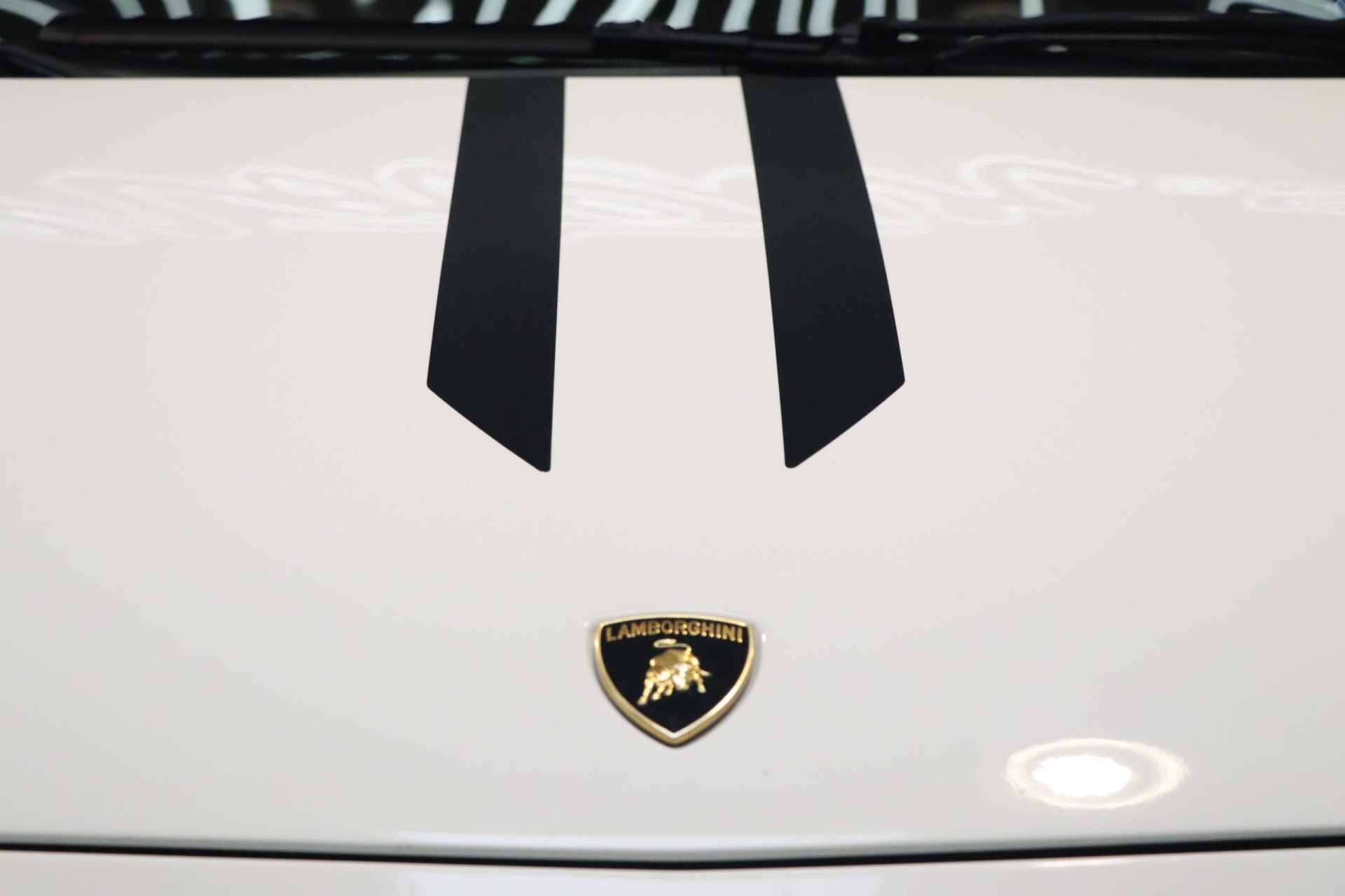 Lamborghini Gallardo Spyder Performante LP570-4 – 2011 – Photo 29
